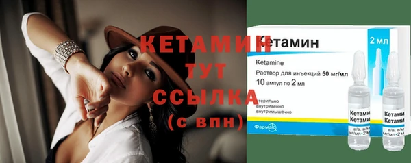 стаф Пересвет