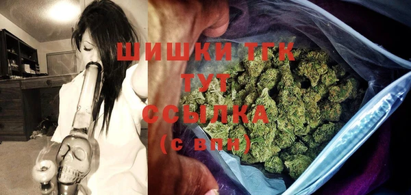стаф Пересвет
