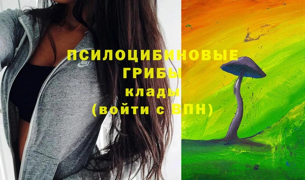круглые Переславль-Залесский