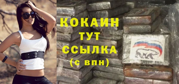 стаф Пересвет
