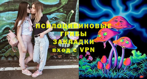 стаф Пересвет
